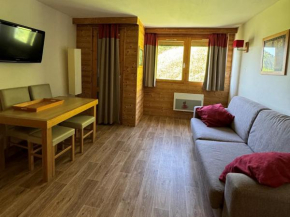Studio ski aux pieds avec piscine chauffée, WiFi et animaux admis - FR-1-181-2822